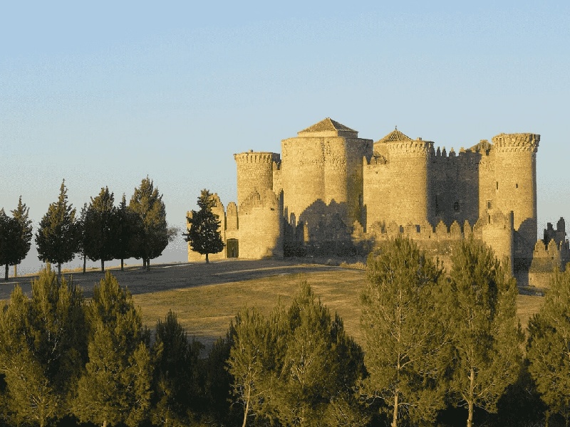 试管泡沫球挂画（做造影费用多少）